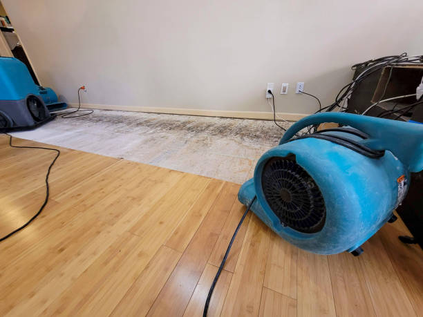 Professional Structural Drying technician working in Eagleville, TN